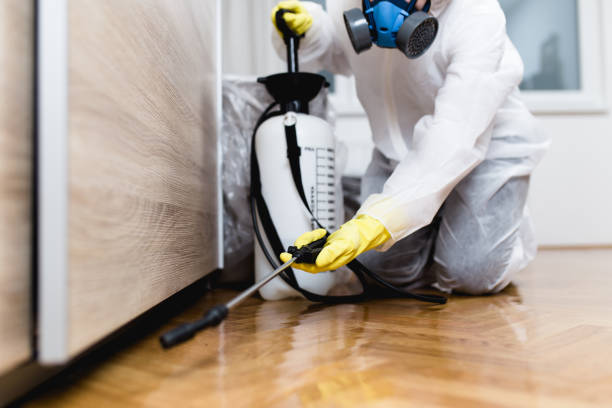 Best Pest Removal Services  in Macclenny, FL