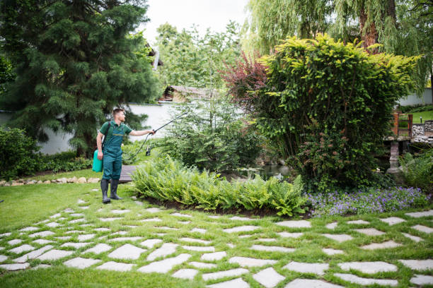Best Best Pest Control Companies  in Macclenny, FL