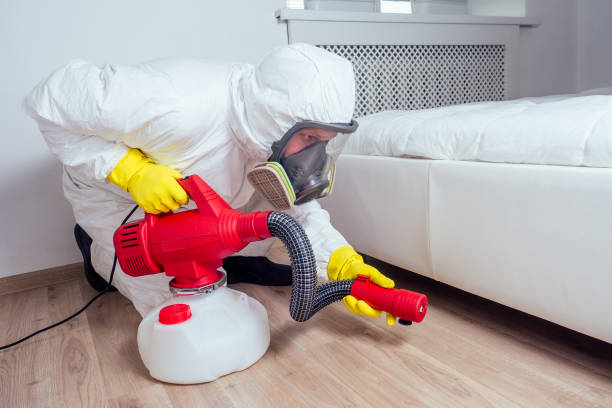 Best Best Pest Control Companies  in Macclenny, FL