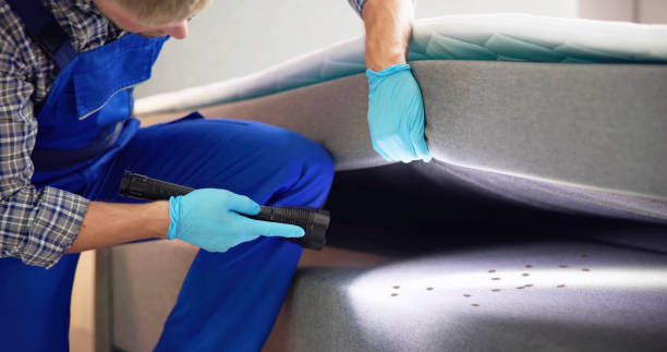 Best Ant Control Services  in Macclenny, FL